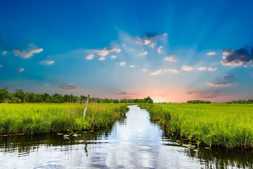 The Weerribben, National Park Weerribben-Wieden. by Gert Hilbink