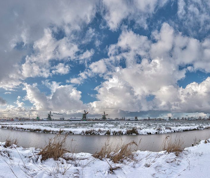 Windmühlen an dem Fluss Zaan und in einem schneebedeckten Feld, Zaandam, Nordholland, die Niederland von Rene van der Meer
