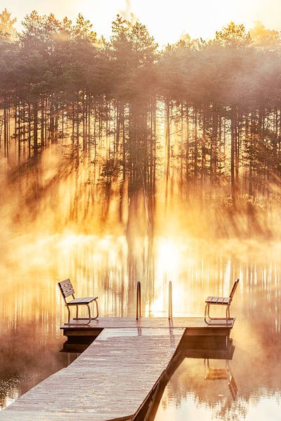 Finnland, ein nebliger Morgen von Yanuschka | Fotografie Noordwijk