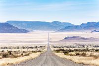 À travers le désert du Namib