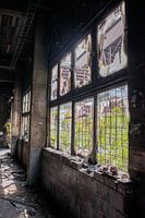 Fenêtres brisées dans une usine abandonnée