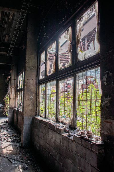 Zerbrochene Fenster in verlassener Fabrik von Servaas Hiel