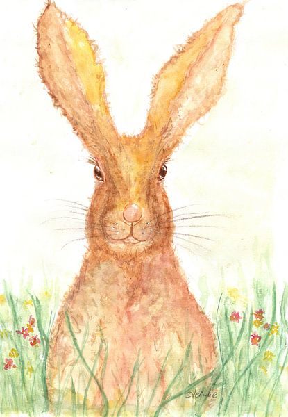 Hare in grass by Sandra Steinke