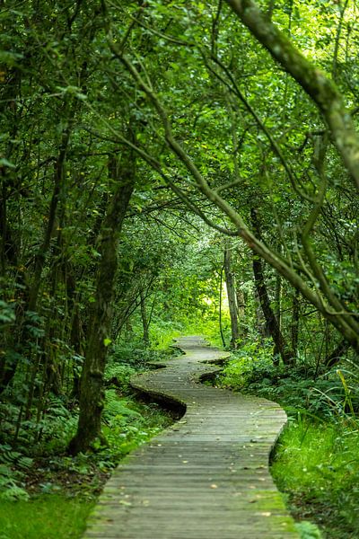 Le Moerputten, où l'on se promène en pleine nature, entouré du chant des oiseaux, du murmure de l'eau et de vastes panoramas. par Patrick Fotografeert