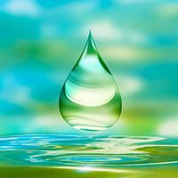 wassertropfen im sonnenlicht