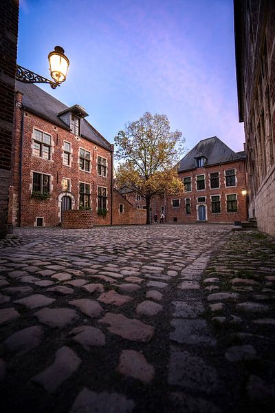 Great Beguinage, Leuven (2) by Luc van der Krabben