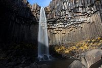 Svartifoss Wasserfall