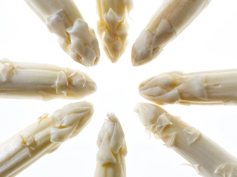 Spargel von Sjoerd van der Hucht