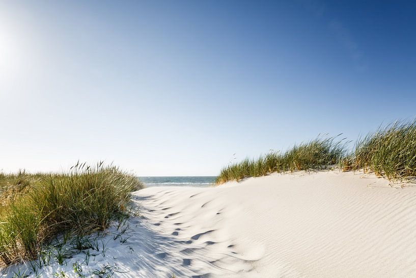 Dünentraum auf Fischland / Darß von Ursula Reins