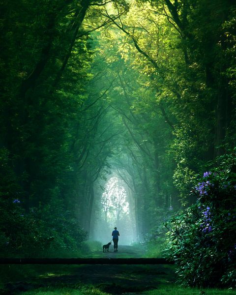 Mit ihrer besten Freundin in die Magie eintauchen von Niels Tichelaar