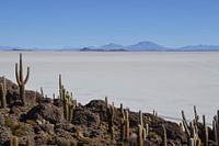 Bolivien, Salinen von Uyuni
