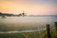 Mühle de Marsch Lienden