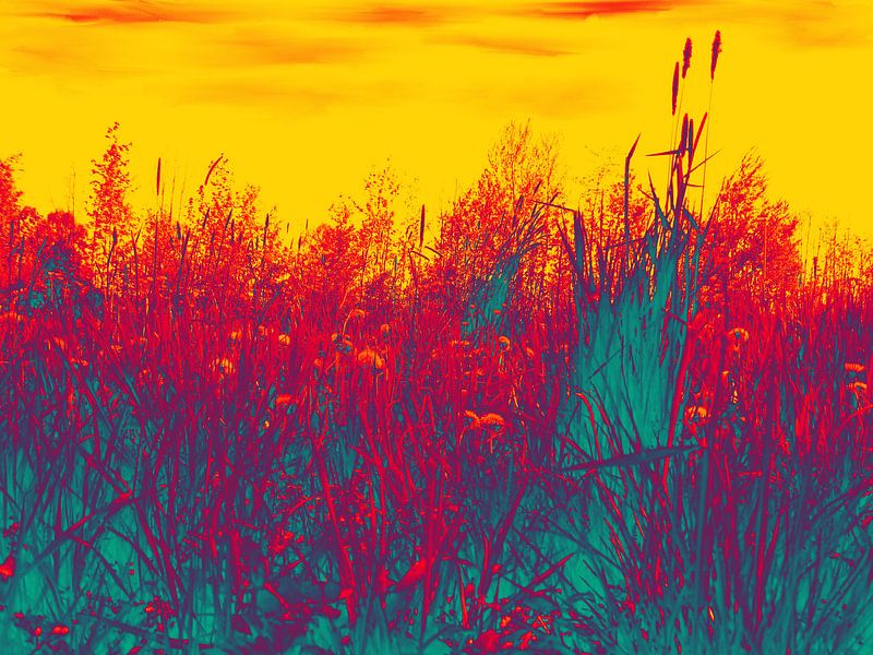 Landschaft von M.A. Ziehr