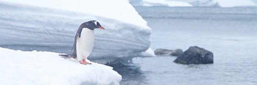 uitzicht von Eric de Haan