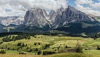 L'Alpe de Siusi avec le Sassolungo, le Plattkofel et le Sella