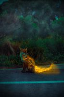 Fire Fox (FireFox) english