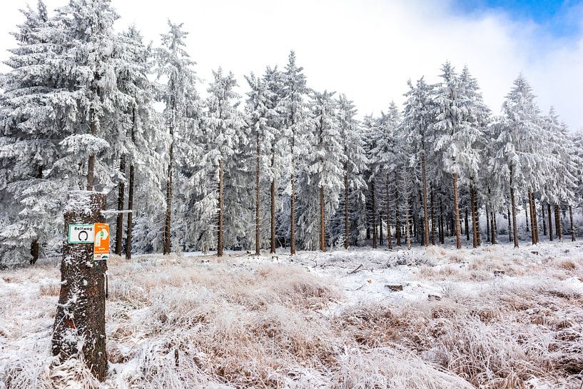 Prachtig winterlandschap op de hoogten van het Thüringer Wald van Oliver Hlavaty