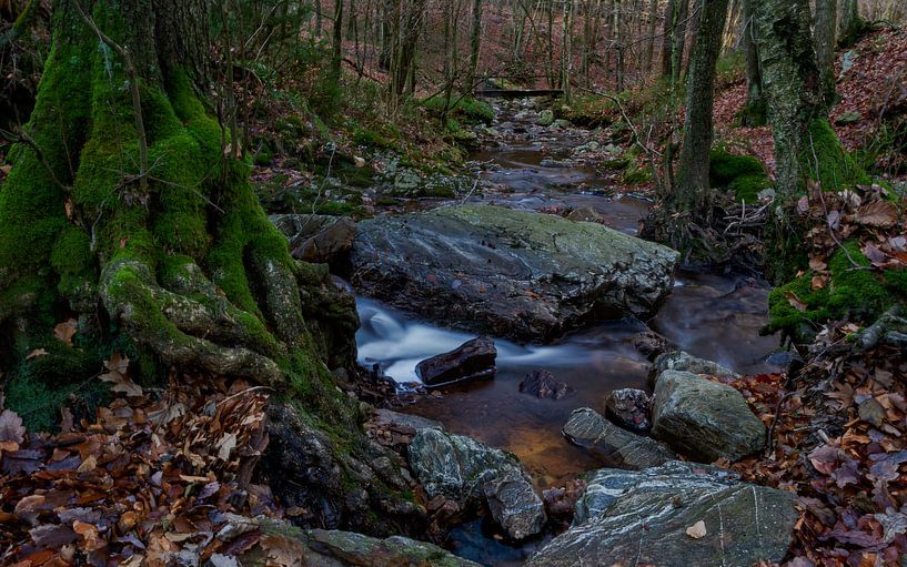 La Statte von Mike Broers