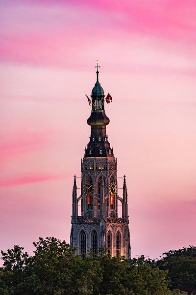 Die Zuckerwattekirche von TPJ Verhoeven Photography