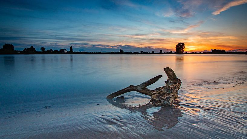 On the bank of the river Lek by Cor Bak