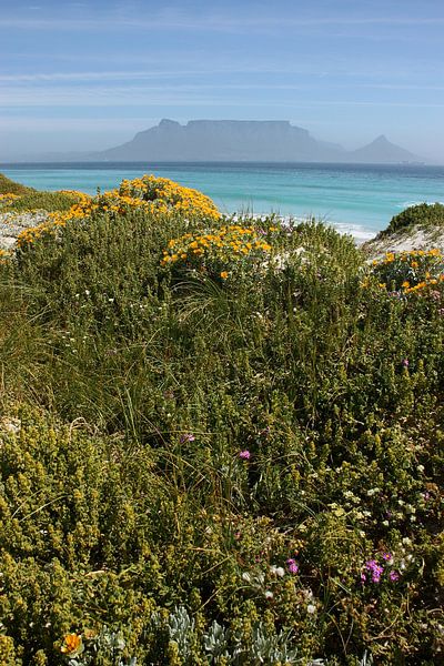 southafrica ... table mountain 02 von Meleah Fotografie