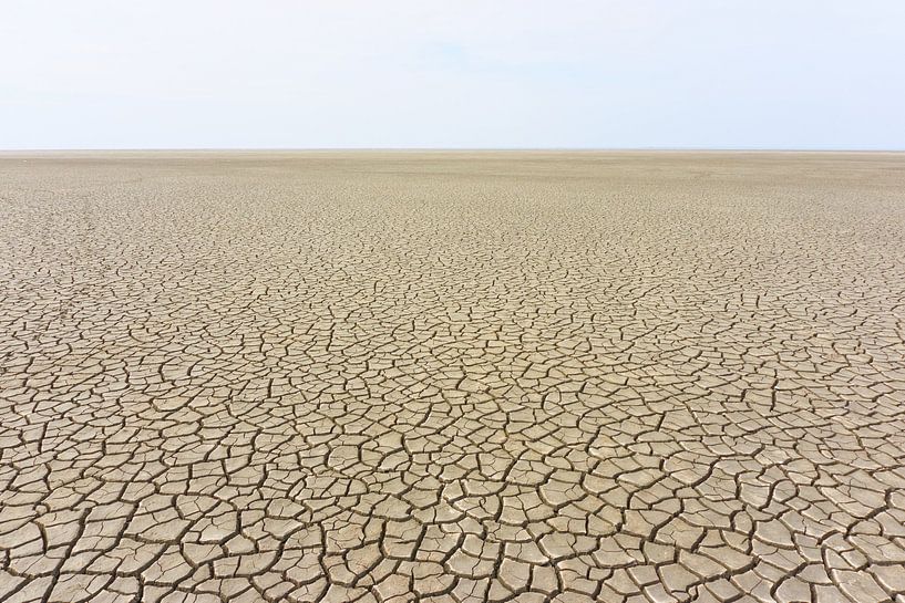 Ebbe auf dem Watt von Harry Wedzinga