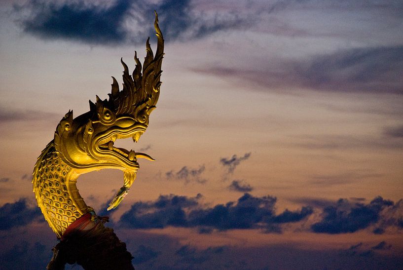 dragon par Mariska Hofman