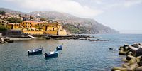 Harbour with boats and castle, Forte de Sao Tiago, Funchal, Madeira Portugal