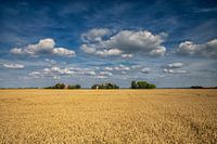Oostwolderpolder / Lutje Loug in the Netherlands