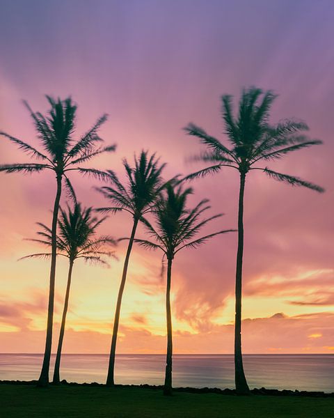 Sonnenaufgang Kapaa-Strand, Kauai, Hawaii von Henk Meijer Photography
