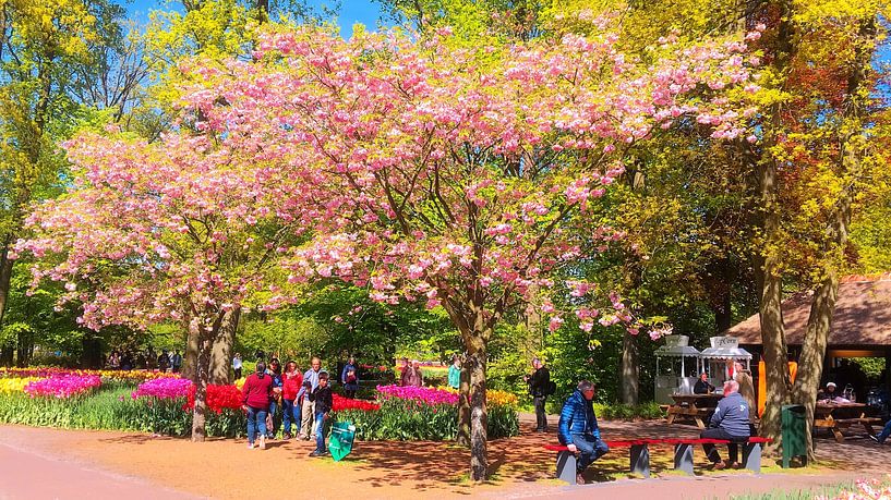 Large blossom tree Keukenhof by Digital Art Nederland