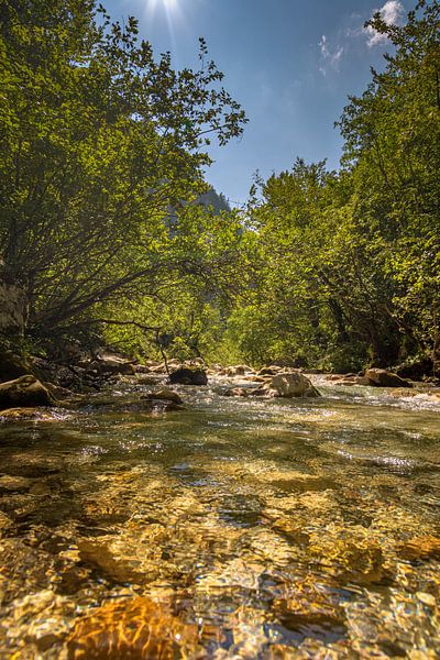 Petit lac courant par Patrick Herzberg