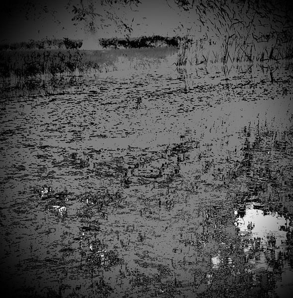 Het abstracte meer van Sidney Graf