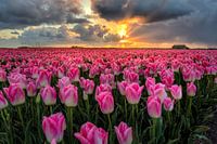 Breaking through the sunset