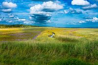 Apfelwein-Landschaft