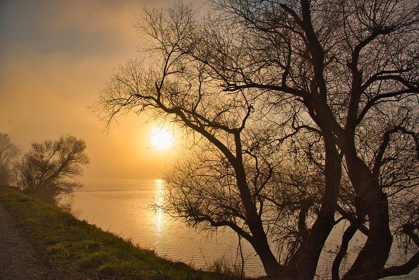 Herbstmorgen im Grand Ried von Tanja Voigt