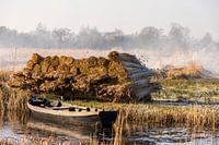 Schilf-Anbaus in Giethoorn