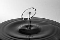 La forme de l'eau | Droplet Photographie