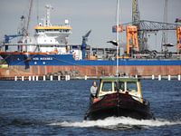 Amsterdamse haven, de Vox Maxima