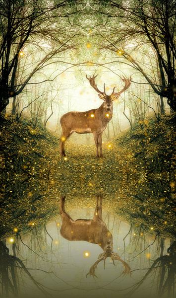 Deer in the Glen von Marja van den Hurk