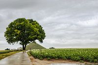 Waterloo monument and nature