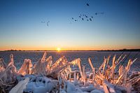 Sonnenaufgang Winter IJsselmeer