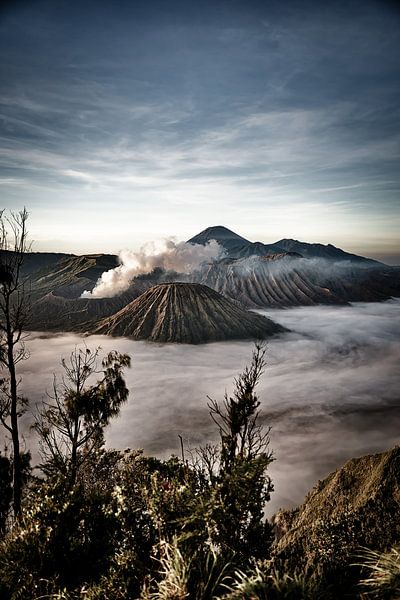 Sonnenaufgang über dem Berg Bromo und dem Nebelmeer von Frank Photos