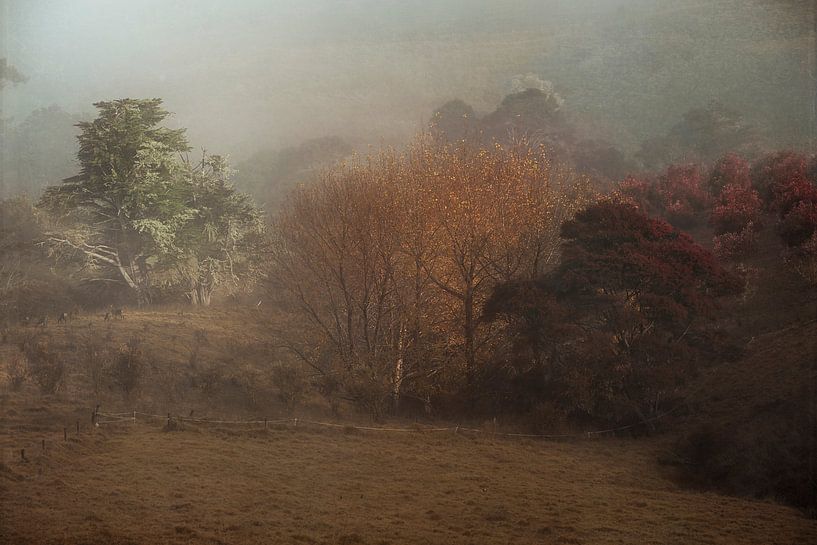 Ländliche Landschaft von Marina de Wit