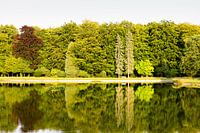 Wald bei Jachthuis Sint Hubertus auf der Hoge Veluwe