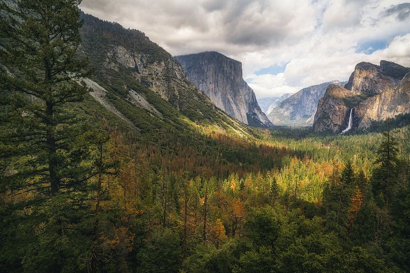 Atemberaubend von Loris Photography