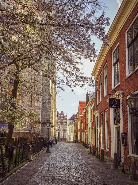 Kloksteeg Leiden von Dirk van Egmond