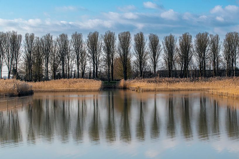 Lingezegen watery west by Bill hobbyfotografie