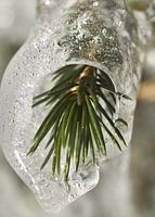 Der Frühling kommt!