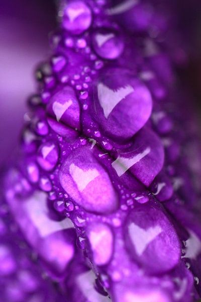 Parelketting von Studio Zwartlicht